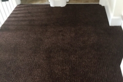 Carpet-10158