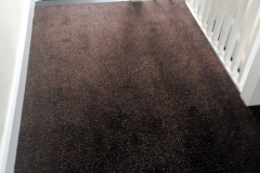 Carpet-10159