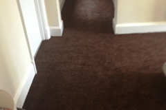 Carpet-10165