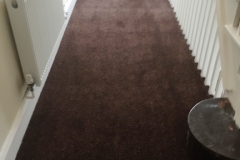 Carpet-10166