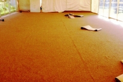 carpet13